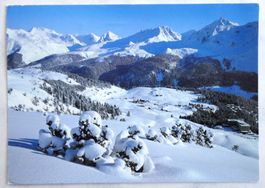 Arosa 1800 m, Maran vom Arlenwald