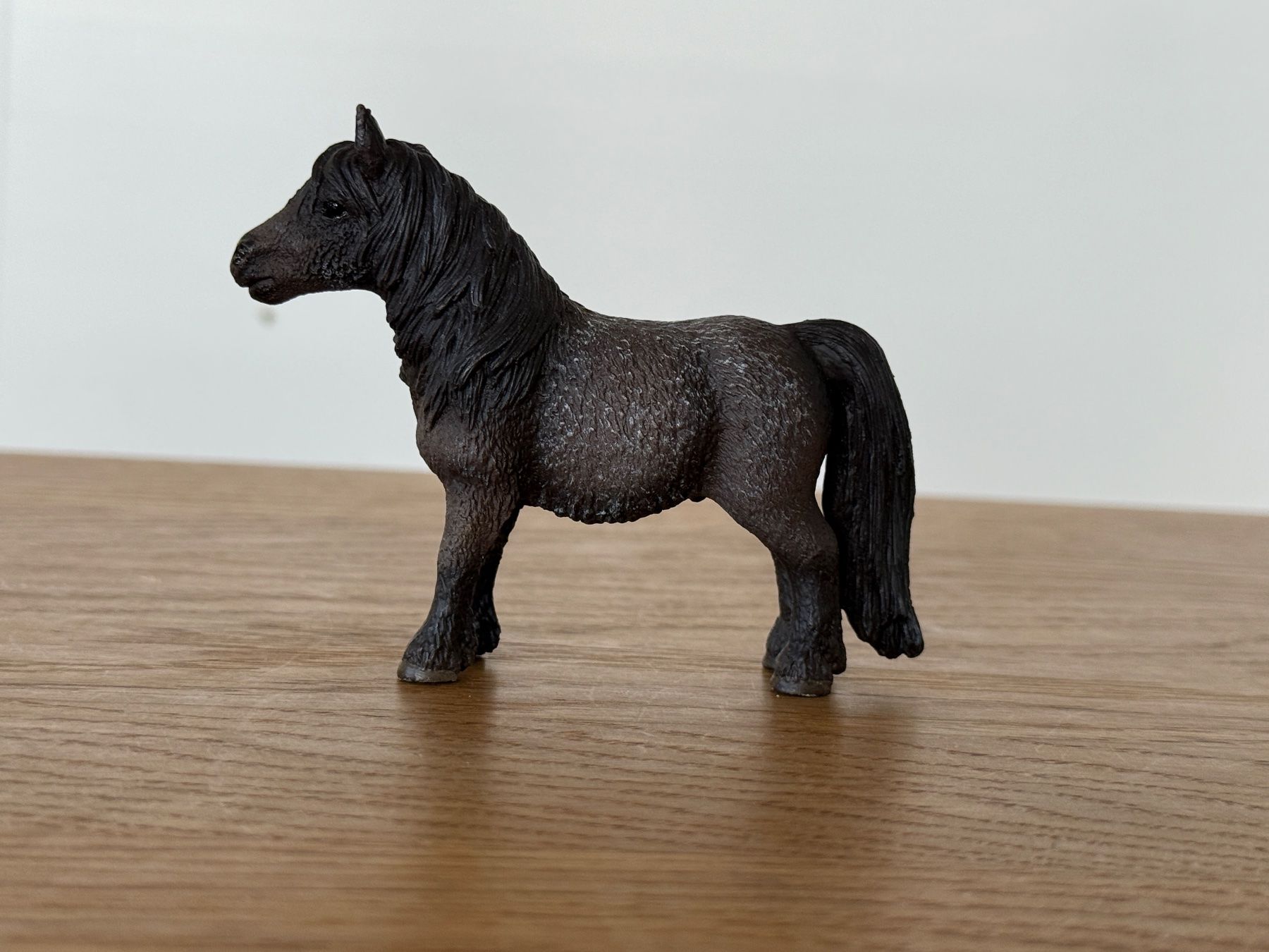 Das Shetlandpony - Pferderassenportrait | FUNDIS Reitsport
