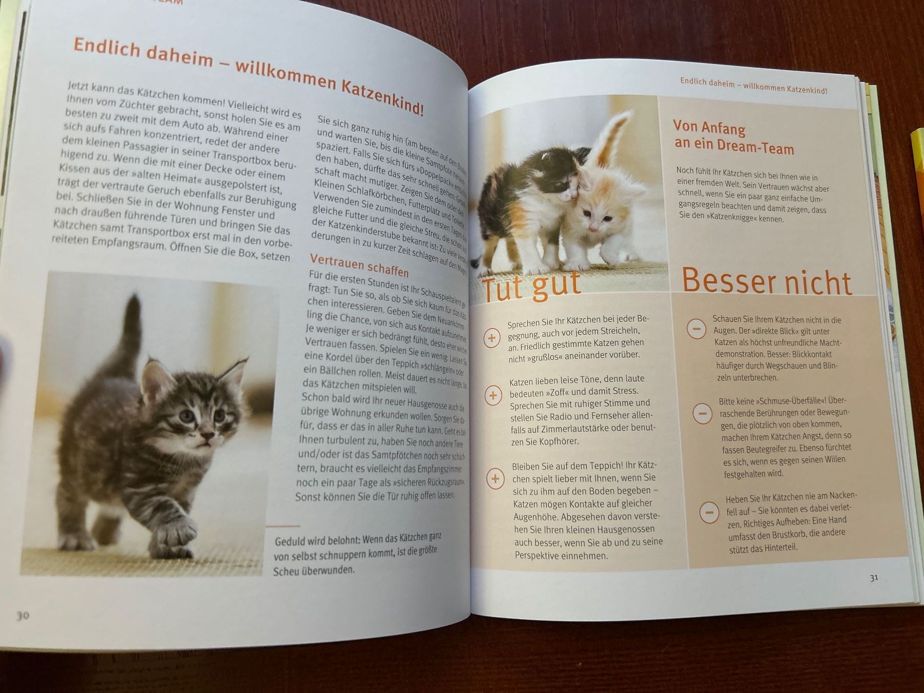 Libri: 2 Katzenbücher - "Unser Kätzchen" und "Katzensprache" – Usato da Benglen venduto da silversun79 2