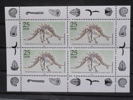 DDR 1990 Naturkunde Museum KB**