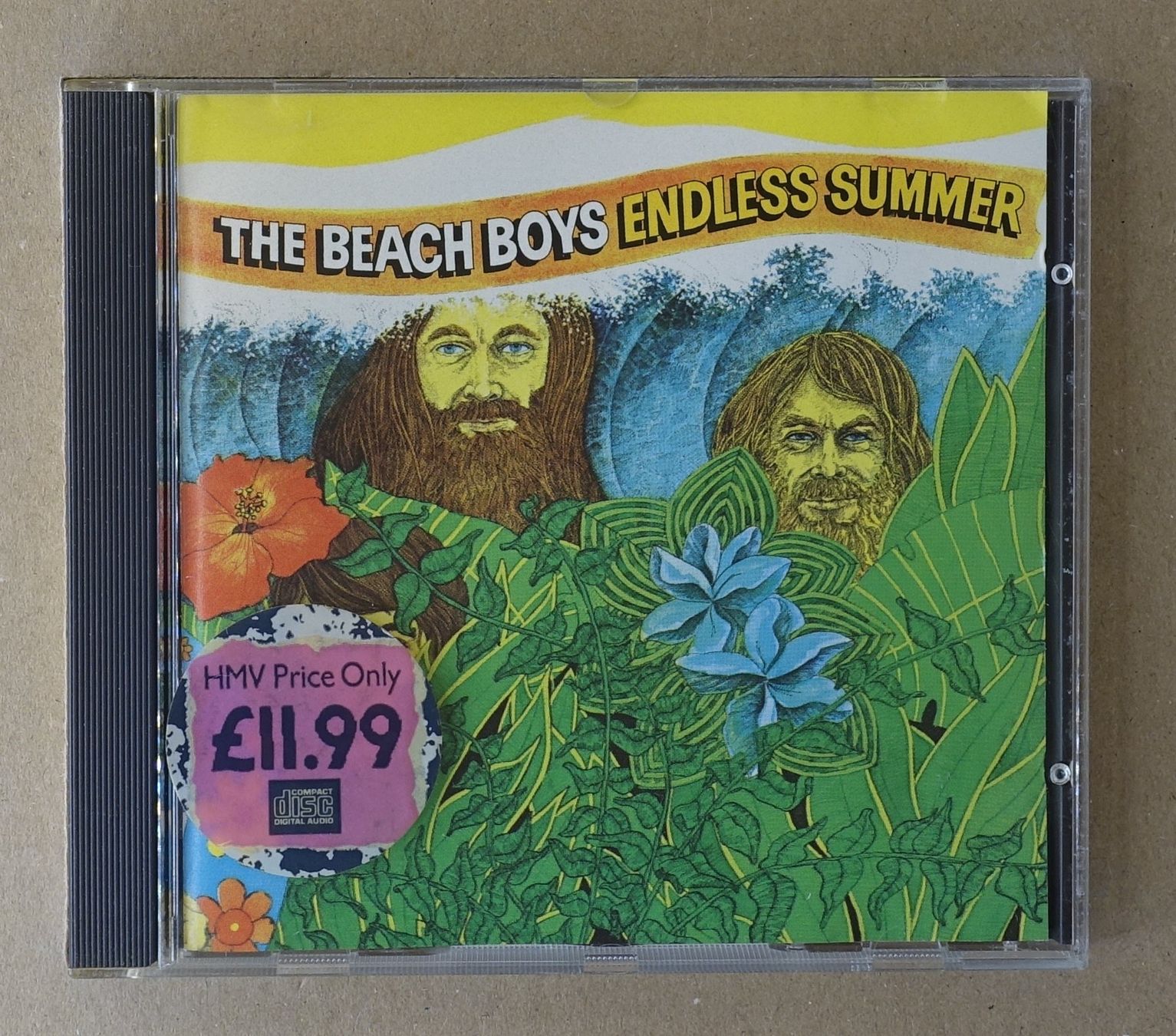 CD: The Beach Boys – Endless Summer - D13 – Usato da Sessa venduto da discoverymedia