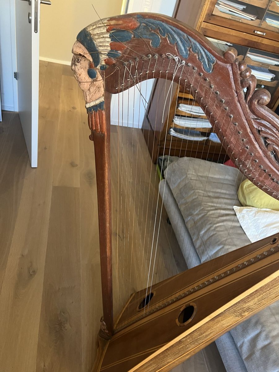 Strumenti musicali: Harfe Peru – Usato da Wettswil venduto da andybambus 5