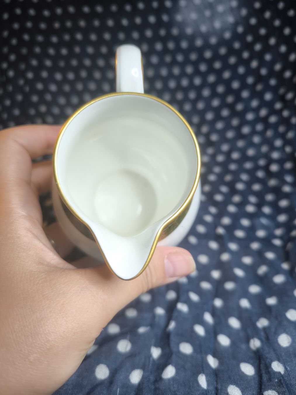 Set di piatti: pichet à lait, Wedgwood, – Usato da Nyon venduto da mgg_gg9j 5