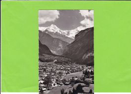 11498 E. Gyger--Wilderswil, Mönch, und Jungfrau