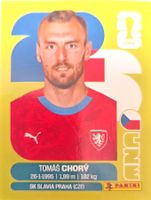Carte FIFA World Cup 2026 CZE 17