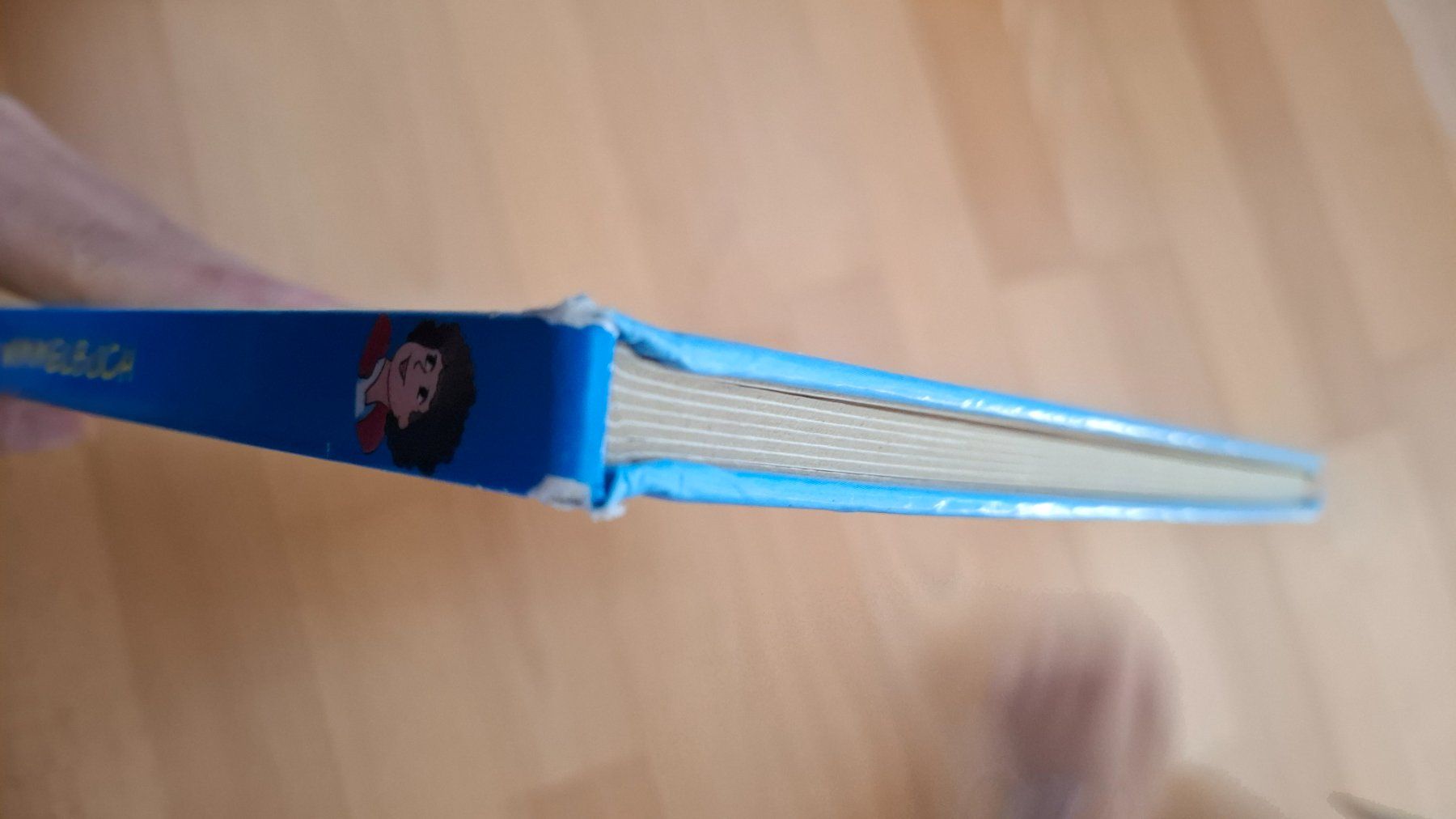 Livres: Wimmelbuch – D'occasion à bülach par bea_syq2 2