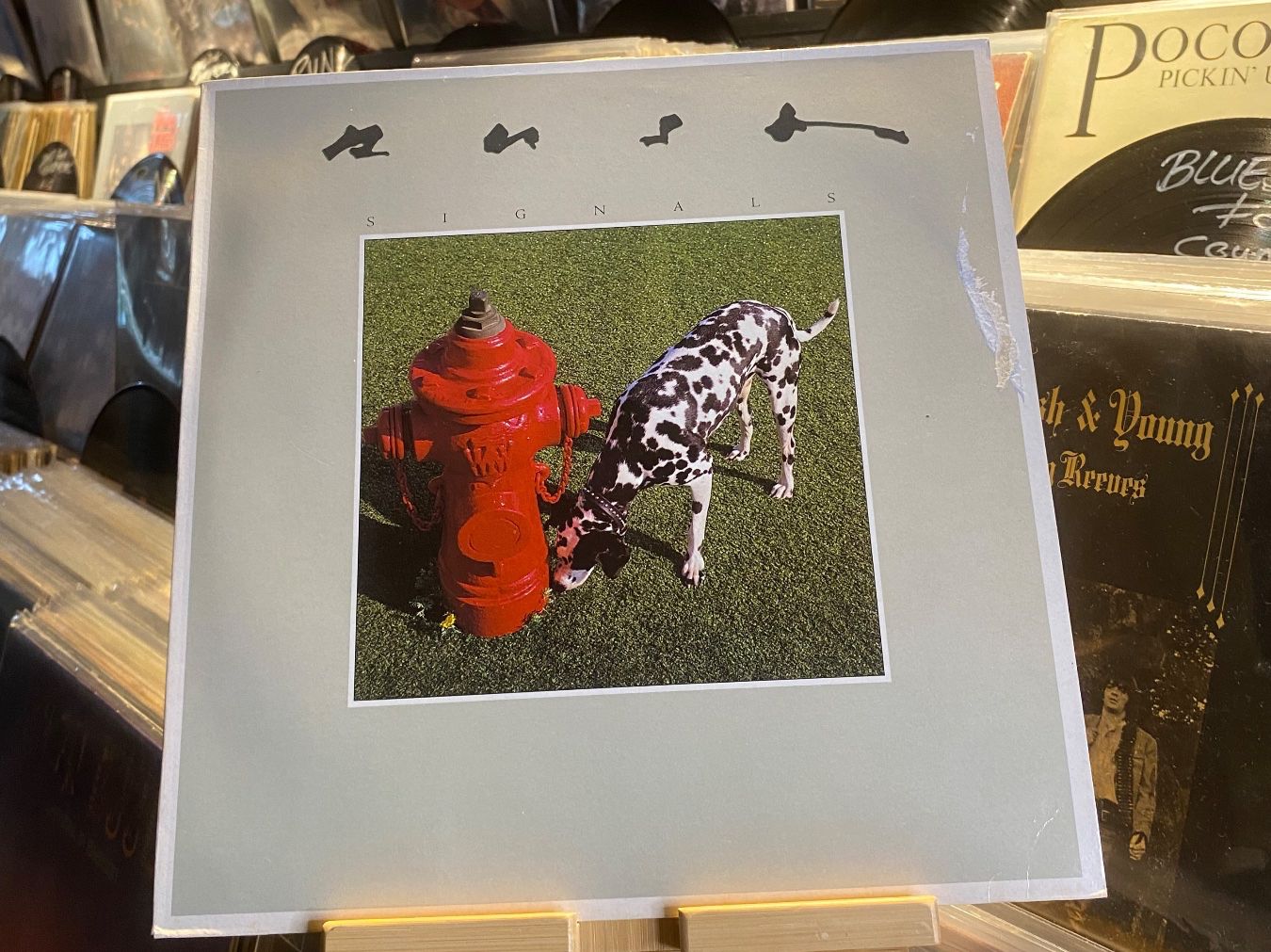 Dischi in vinile: RUSH – SIGNALS...OG NL 1982...VG/VG – Usato da Gals venduto da Diskopatshop