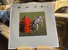 RUSH – SIGNALS...OG NL 1982...VG/VG