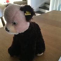 Steiff Stofftiere Bär / Bear 6425 (#18)