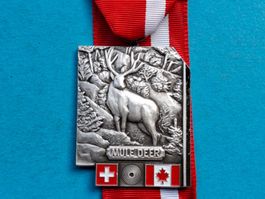 Vancouver Mule Deer 2004 (u862)