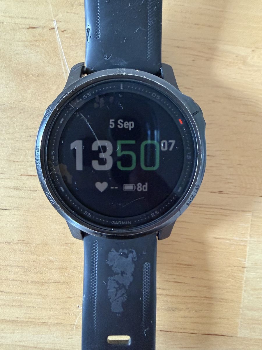 Garmin Smartwatch: Garmin Fenix 6s Pro – Usato da Russikon venduto da Valimar_151 2