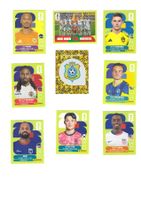 Panini WM 2026