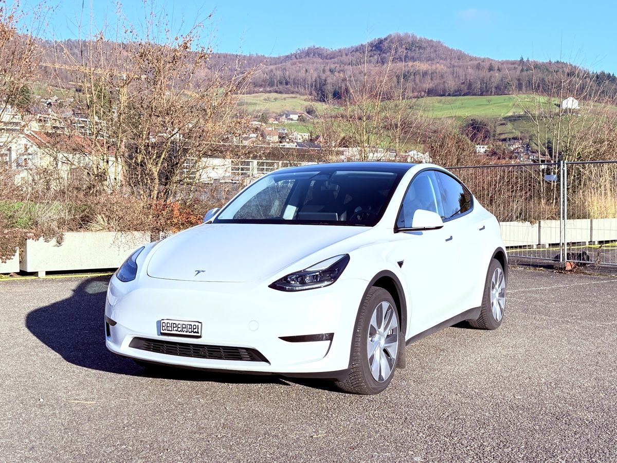 Tesla Automobili: TESLA Model Y RWD – Usato da Sissach venduto da Diegobm 6