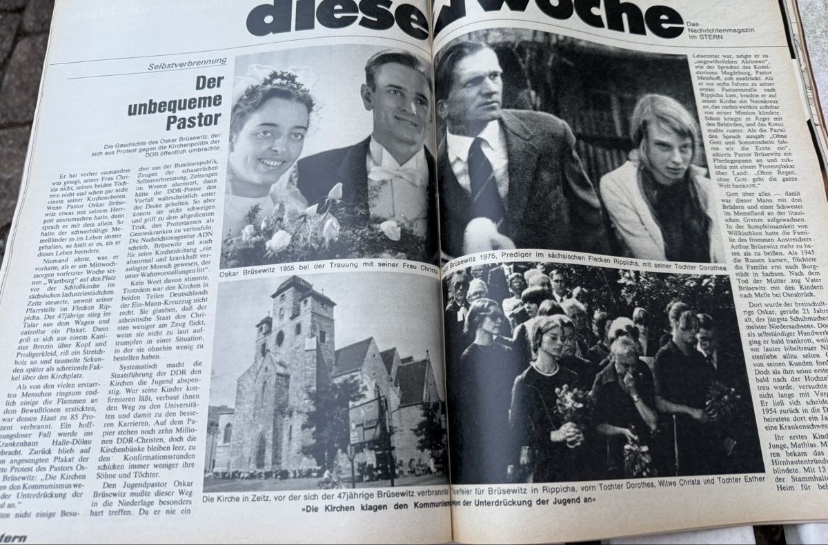 Riviste & Magazine: STERN-2.Sept.1976-204S. – Usato da hunzenschwil venduto da Oldipark 8