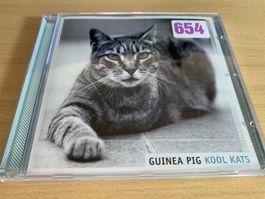 Guinea Pig – Kool Kats