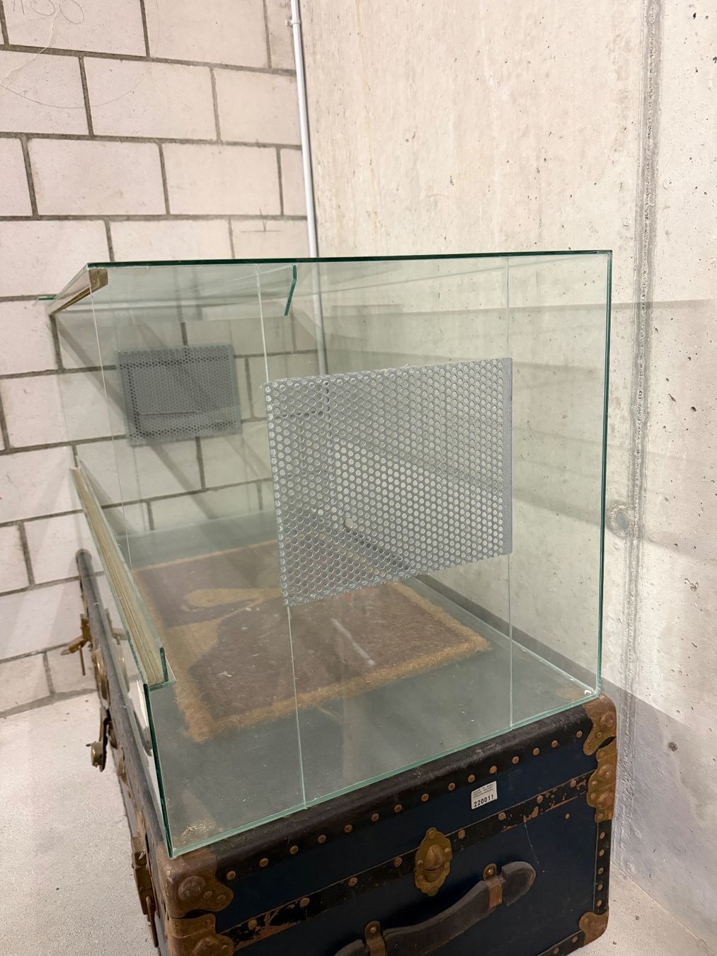 Terrario: Hamsterkäfig / Glasterrarium – Usato da Meilen venduto da ninoushka 1