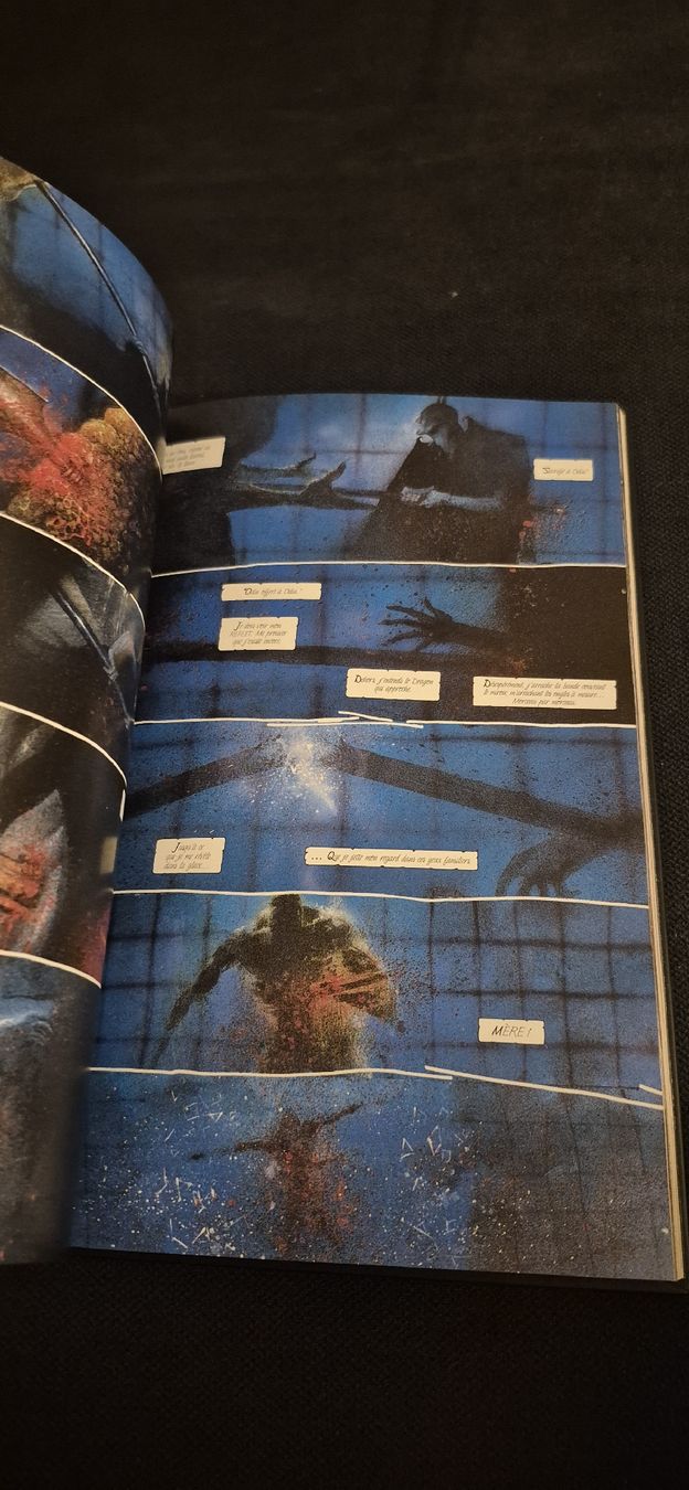 Comics: ARKHAM ASYLUM DC DELUXE COMICS RÉCIT COMPLET BATMAN JOKER FR – Gebraucht aus Grand-Lancy von luc111 8