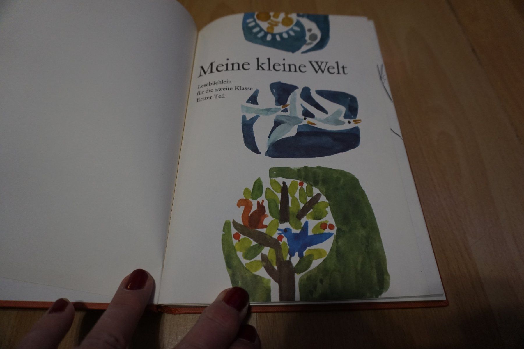 Libri: Meine kleine Welt - Lesebuch – Usato da Zürich venduto da einalemjena 1