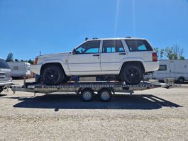 Autotransport 24/7 bis 600km