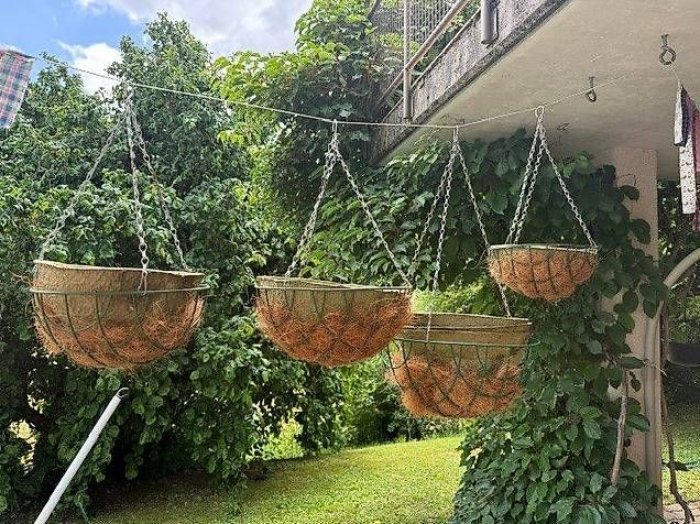 Vasi per fiori: Pflanzhängekörbe – Usato da Dussnang venduto da turbi55 1