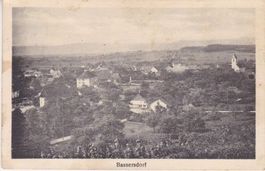Bassersdorf (Zch.)Dorfansicht. 1919