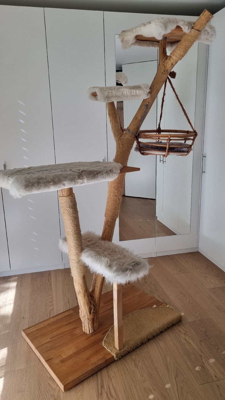 Katzenbaum - Kratzbaum: Naturkratzbaum gebraucht – Gebraucht aus Beinwil am See von rimeina