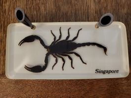 Skorpion stifthalter plastik guss tier skulptur figur