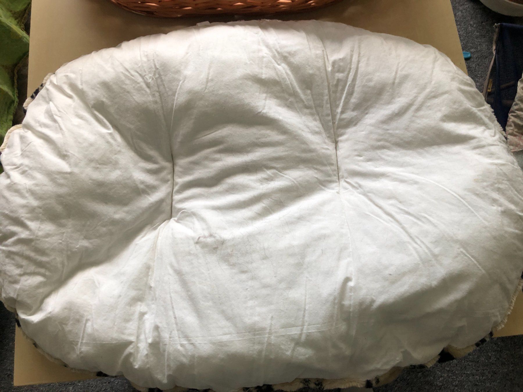Cucce & Letti: Hundebett – Nuovo (secondo la descrizione) da Flawil venduto da noplan 4