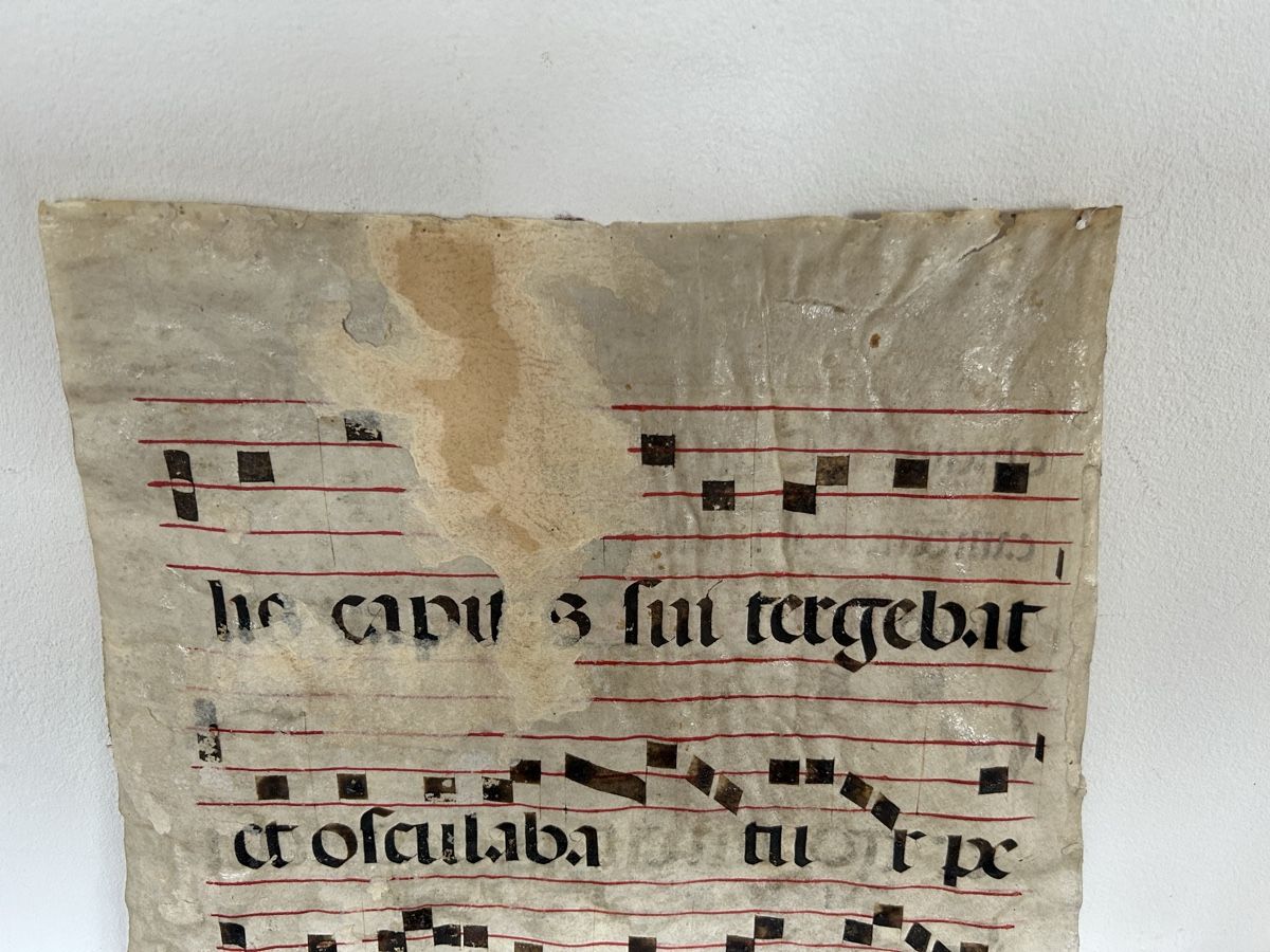Libri: Pergament Handschrift antik – Usato da Riedholz venduto da Frettchen63 3