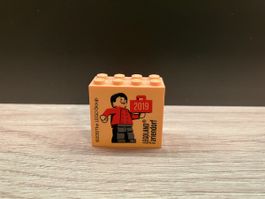 LEGO Stein Legoland Feriendorf 2019 4x2 Noppen