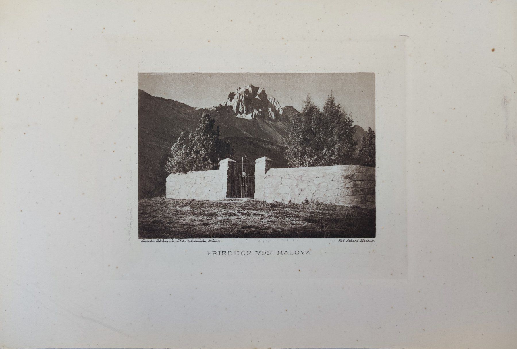 Foto & Immagini: ALBERT STEINER - FRIEDHOF VON MALOJA – Usato da Goldach venduto da Gaip 1