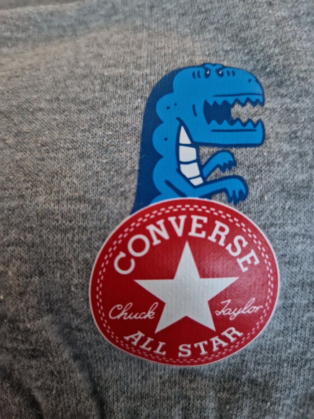 Converse Kleiderpakete & -sets: Trainer DINO 2 teilig von Converse Gr. 116/122 – Gebraucht aus Davos-Dorf von Bpelikan 4