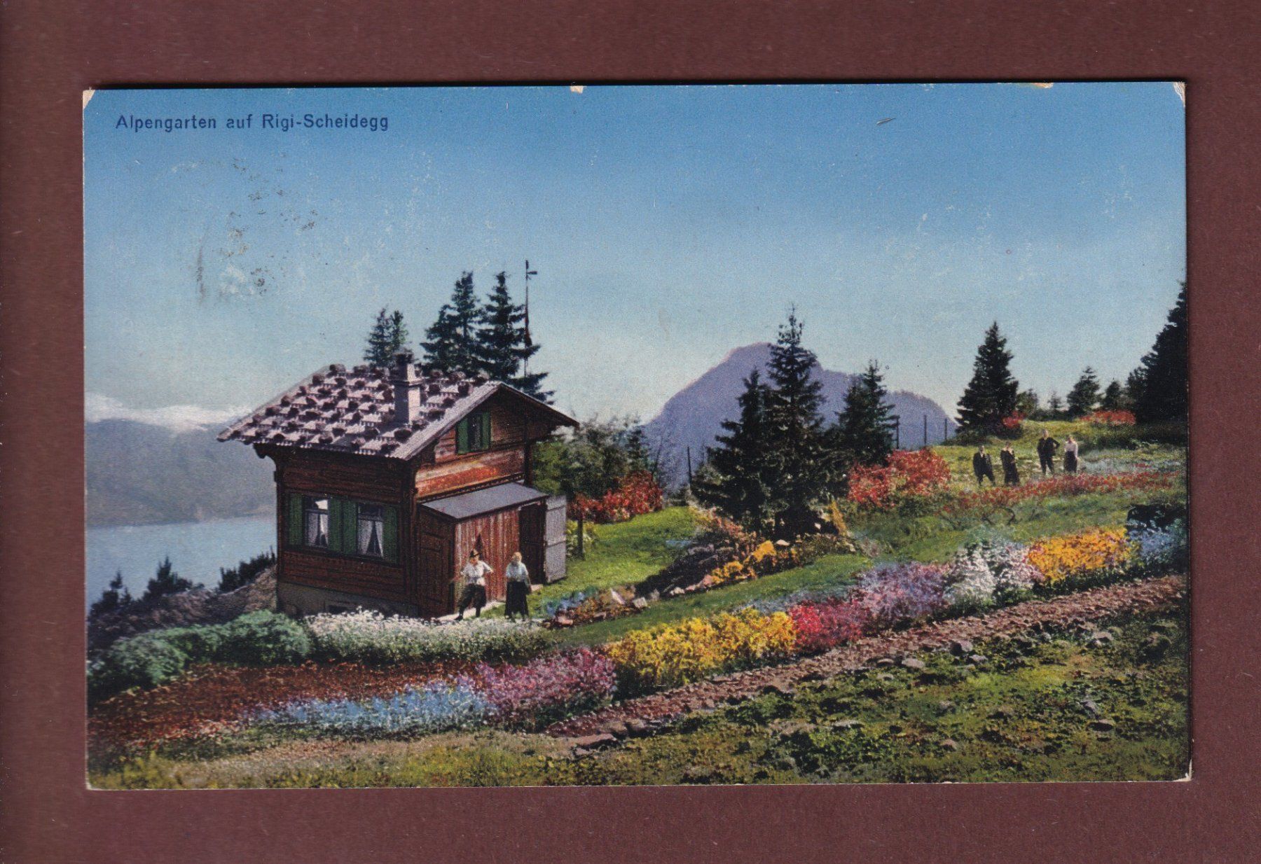 Cartes postales: Alpengarten auf RIGI-SCHEIDEGG – D'occasion à Pully par nicecards-shop