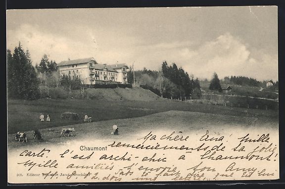 Cartoline postali: AK Chaumont /NE, Ortspartie mit Kuhweide – Usato da Berlin venduto da bartko-reher