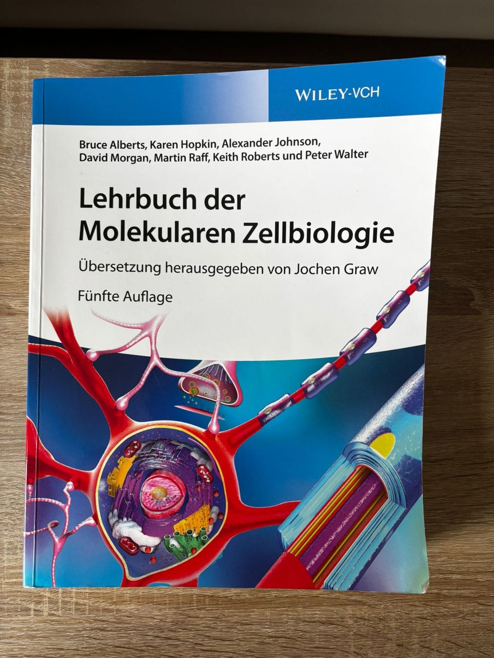 Libri: diverse Lehrbücher einzeln oder als Paket erwerbbar! – Nuovo (secondo la descrizione) da Thörigen venduto da leo_7yb2 3