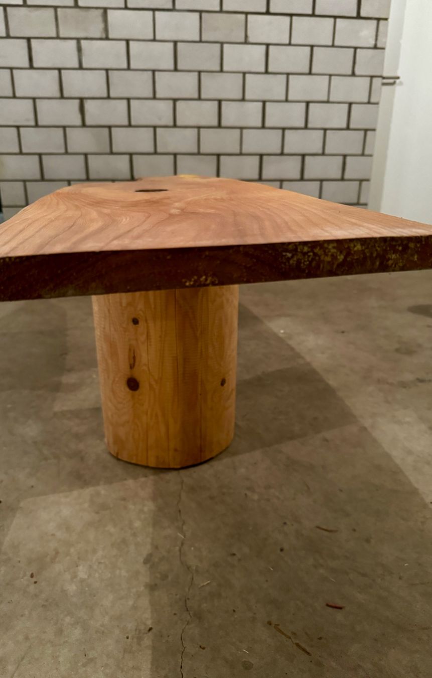 Articoli in legno: Holz Holzbrett Ulme – Usato da Brunnen venduto da Holz-style 3