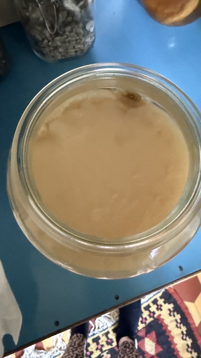 Cibi & Specialità: SCOBY Starter für Kombucha – Nuovo (secondo la descrizione) da Zürich venduto da NorinaAurora 1