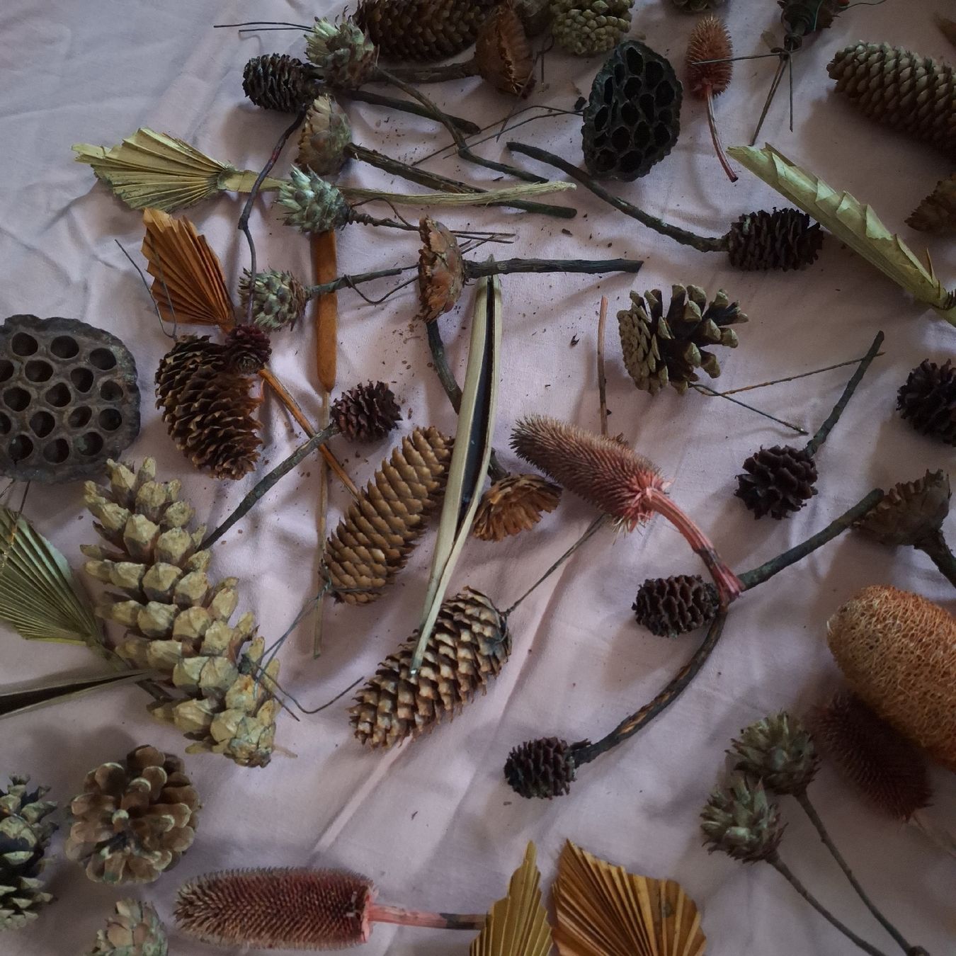 Alle Dekorationen: Floristik Deko, Trockenblumen – Gebraucht aus Winterthur von Goldpipau 3