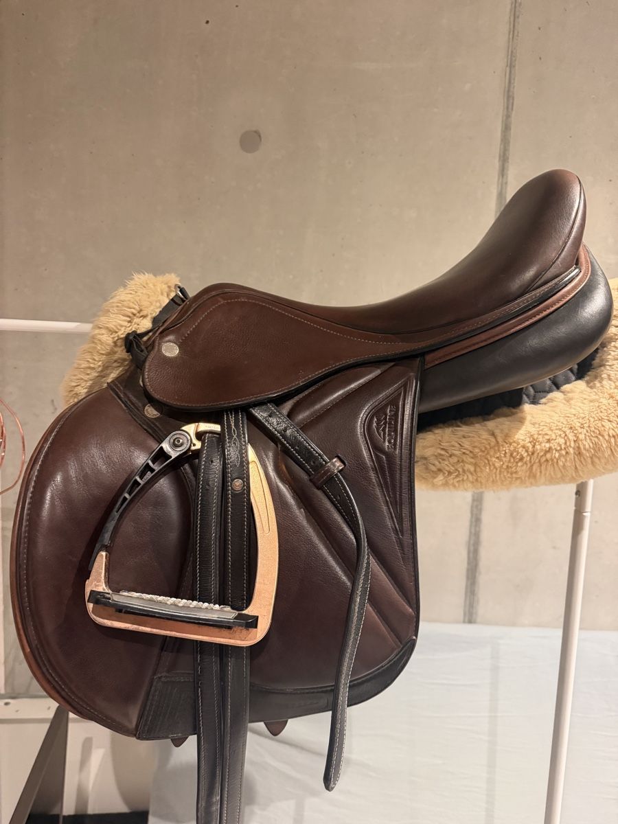 Sattel & Sattelzubehör: Equiline Springsattel – Gebraucht aus Einigen von Bern73