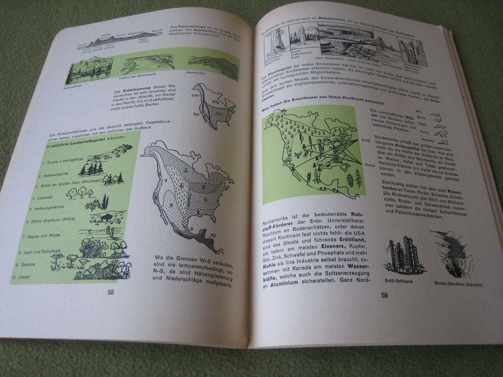 Libri: Sammlung Lebendiges Wissen – Usato da Lohn-Ammannsegg venduto da elch_55 9