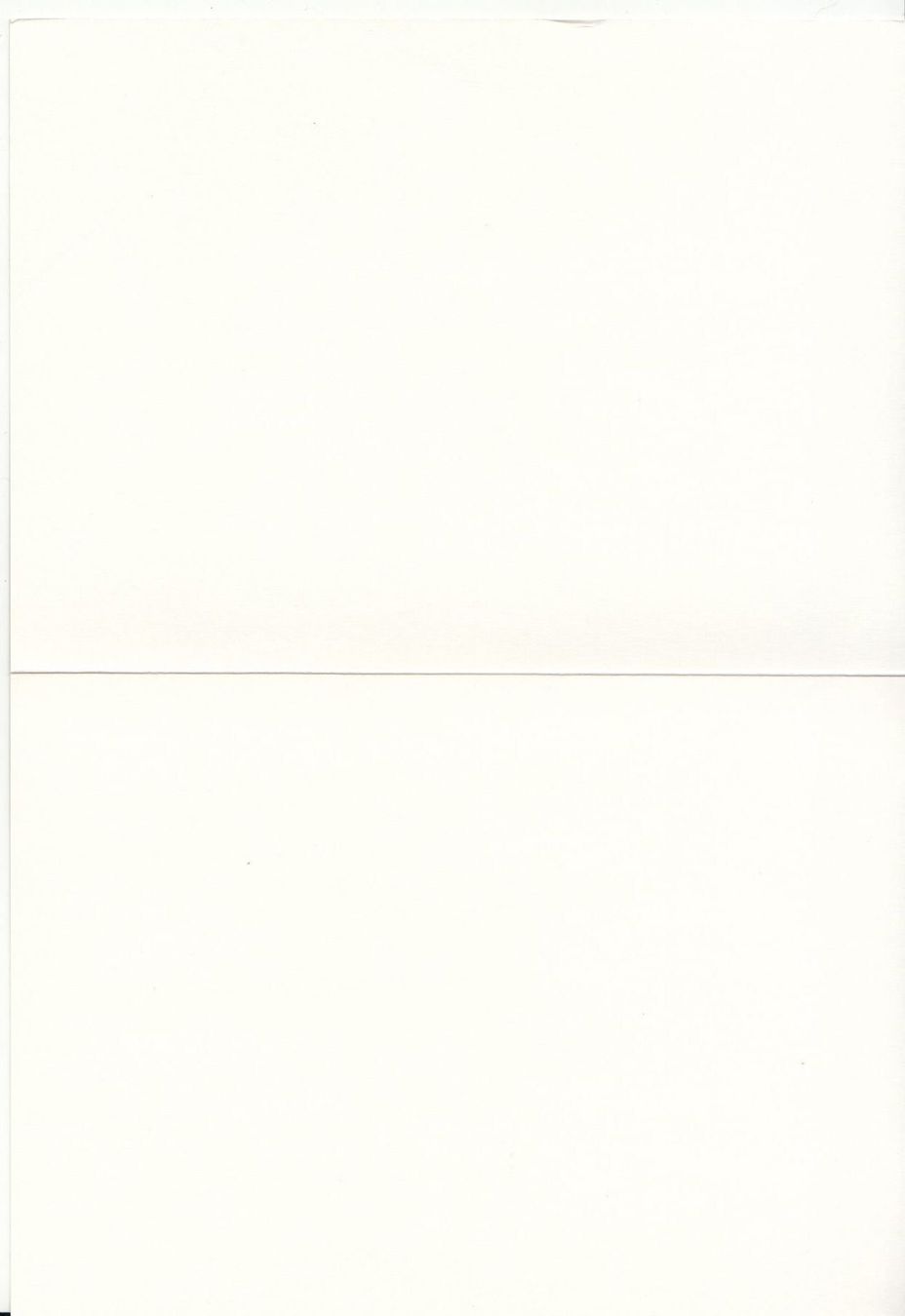 Ansichtskarten: DK Peter Doeme Die Tulpe – Neu (gemäss Beschreibung) aus Bürglen TG von StampGraf 2