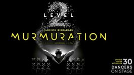 2 Tickets MURMURATION Maag Halle Zürich DO, 25.06.2026