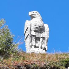 Profile image of Nikili