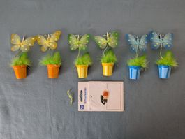 Schmetterlinge Klammern mit Töpfli, Tischkarten, Neu