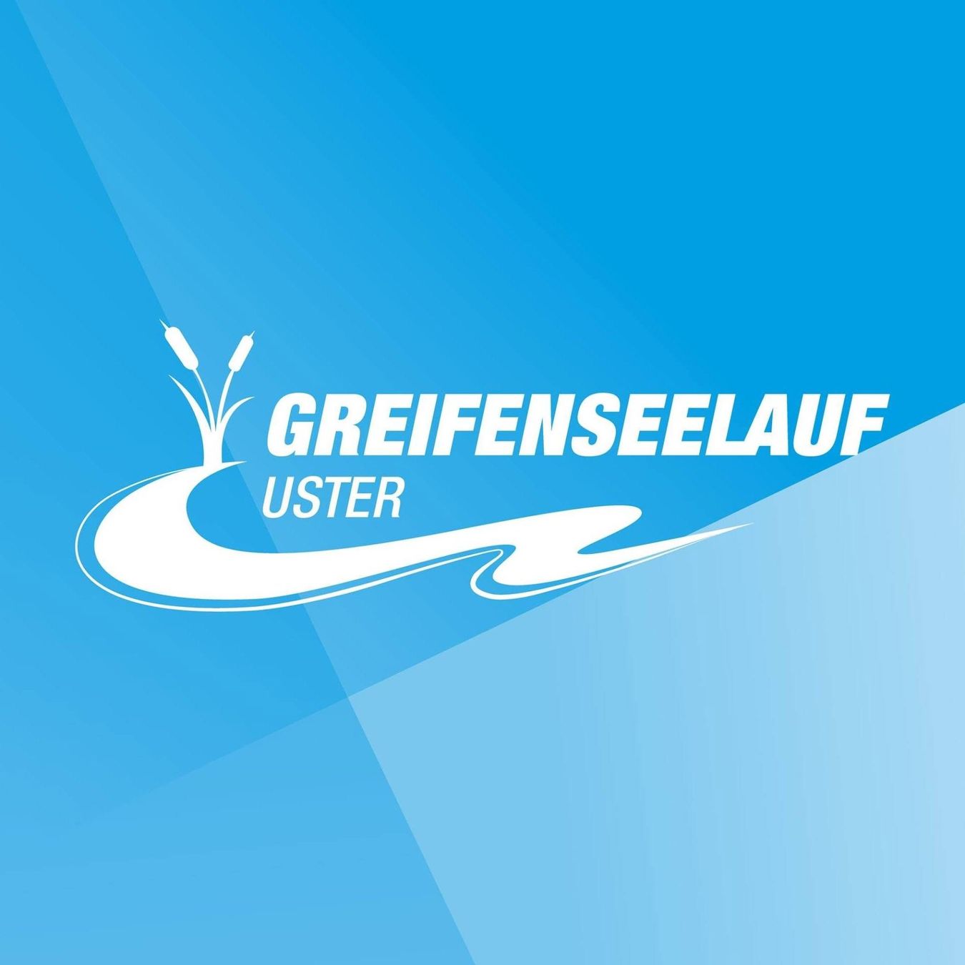 Billets: Greifenseelauf 2026 Halbmarathon 21.1 km Startplatz – D'occasion à Beringen par Parapoxvirus