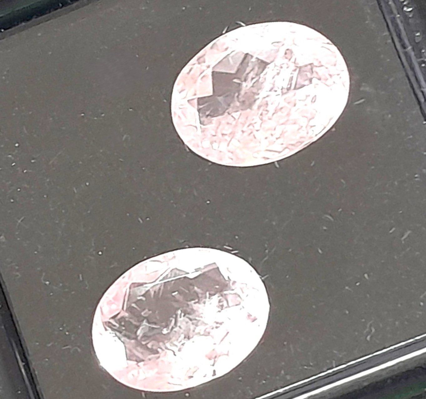 Pietre preziose: 2x Morganites 8x6 mm - Valeur 60.- Fr – Nuovo (secondo la descrizione) da Grimisuat venduto da Valgem