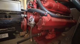Pedrazzini V8- Motor Grey Marine 5.7 defekt