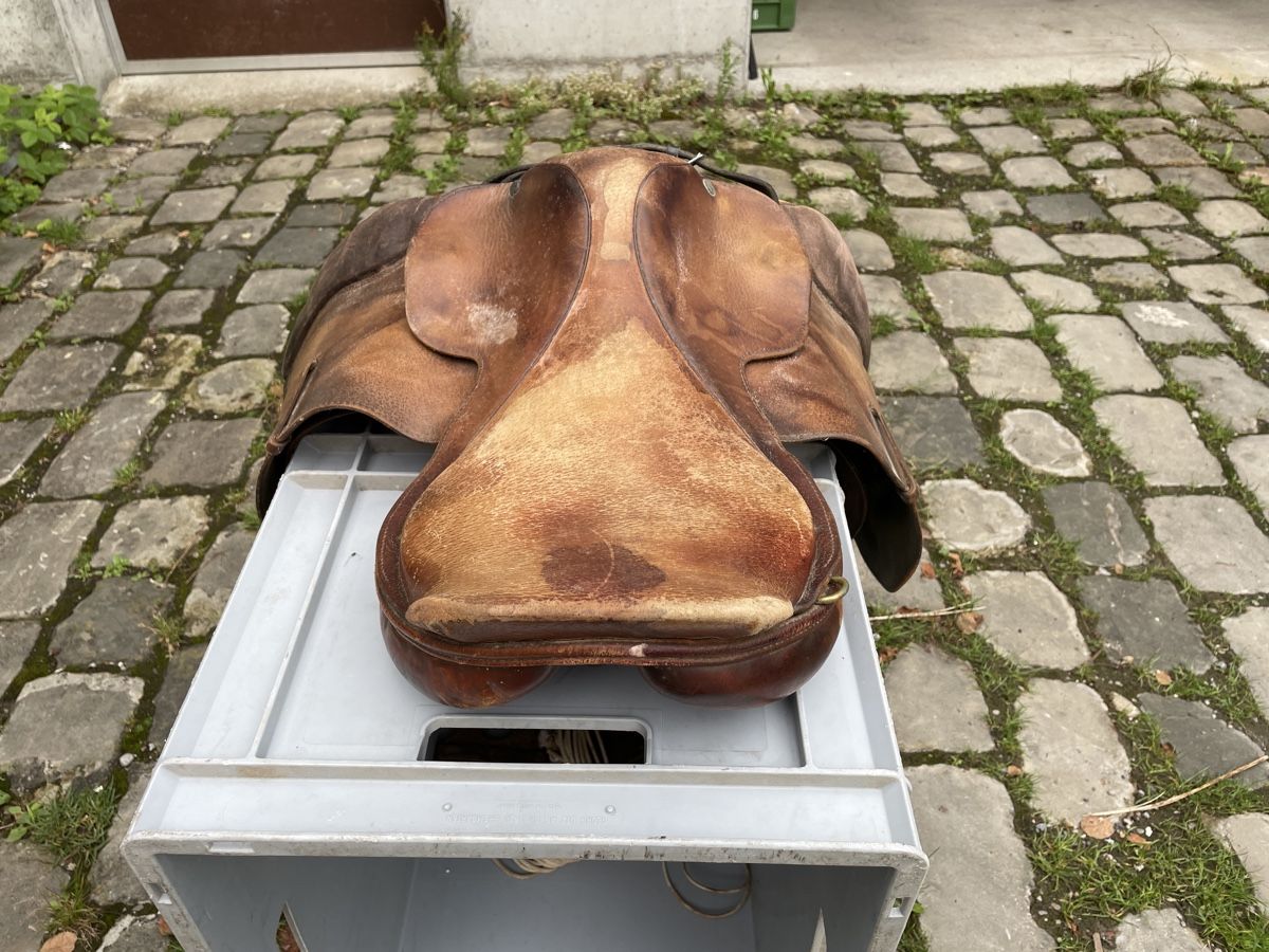 Selle & Accessori: Sattel Crosby gebraucht – Usato da Hauptwil venduto da c-pro 1