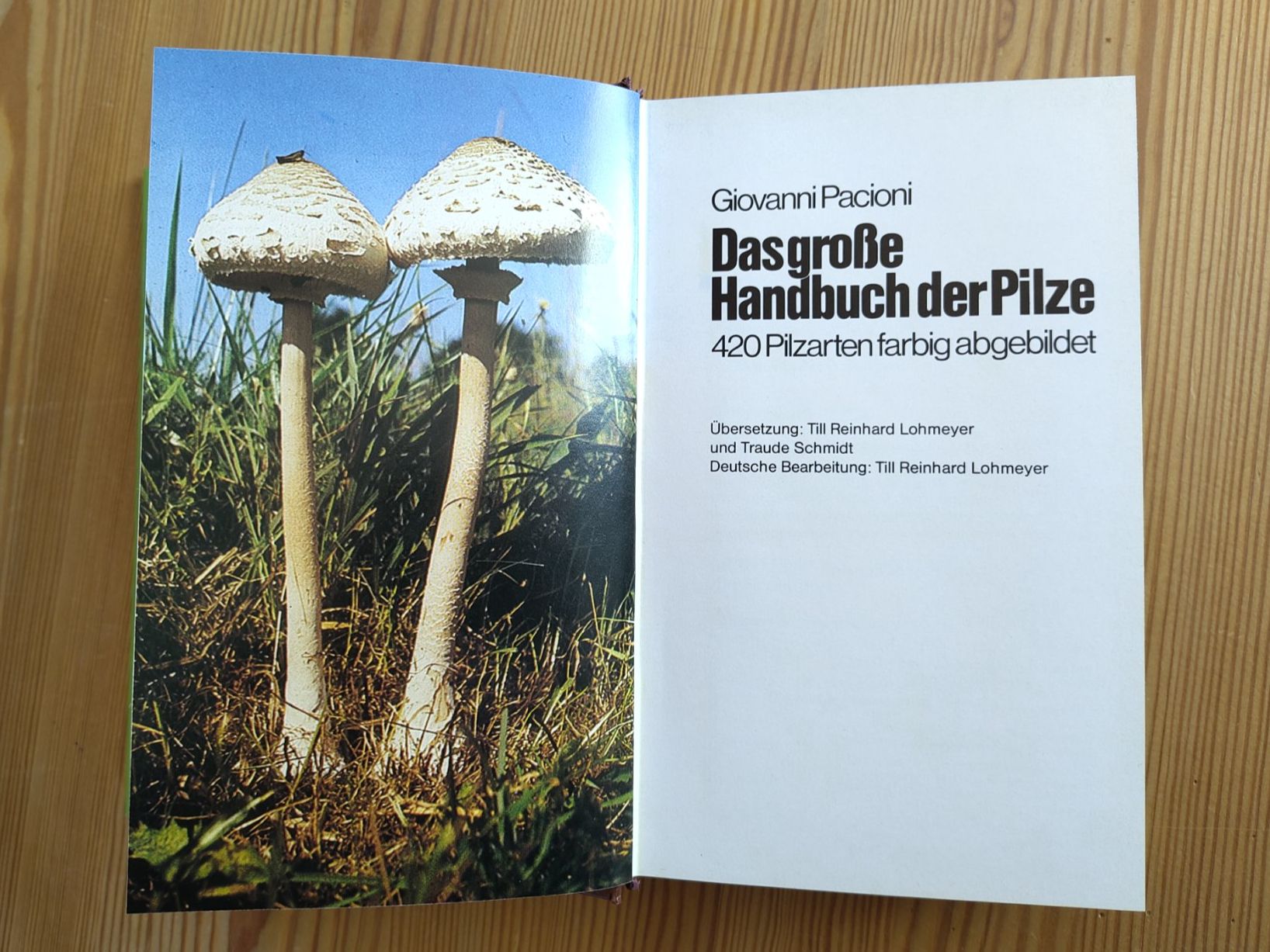Bücher: Pilzführer "Das grosse Handbuch der Pilze" – Gebraucht aus Möhlin von MeisterHora 4