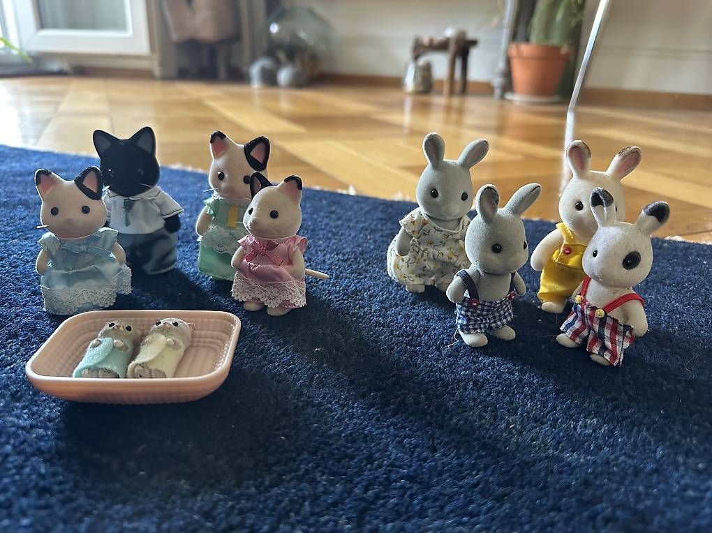 Sylvanian families Spielzeuge: Grand ensemble Sylvanians – Gebraucht aus Lausanne von aoc1972 4
